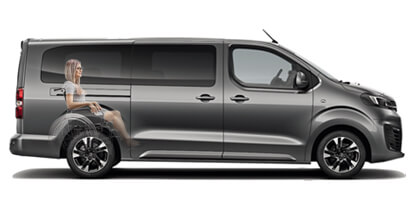 electric vivaro wav