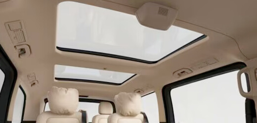 Panoramic Sunroof